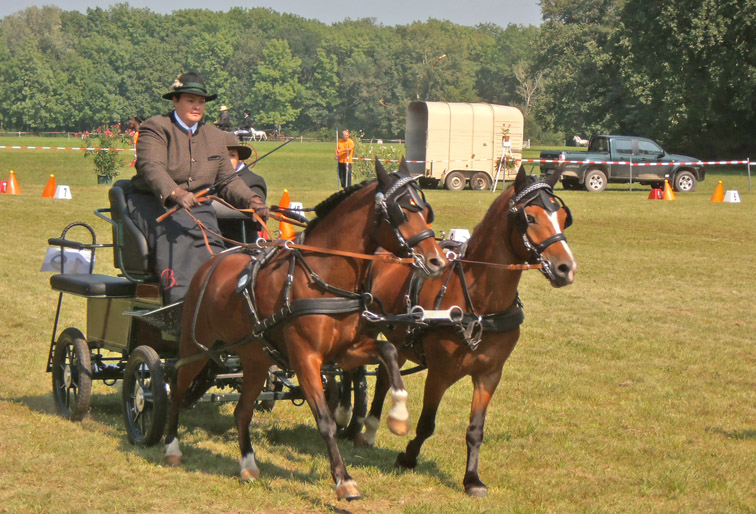 BM Bgld Laendl Fahrer 2012 2