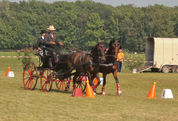 BM Bgld Laendl Fahrer 2012 5