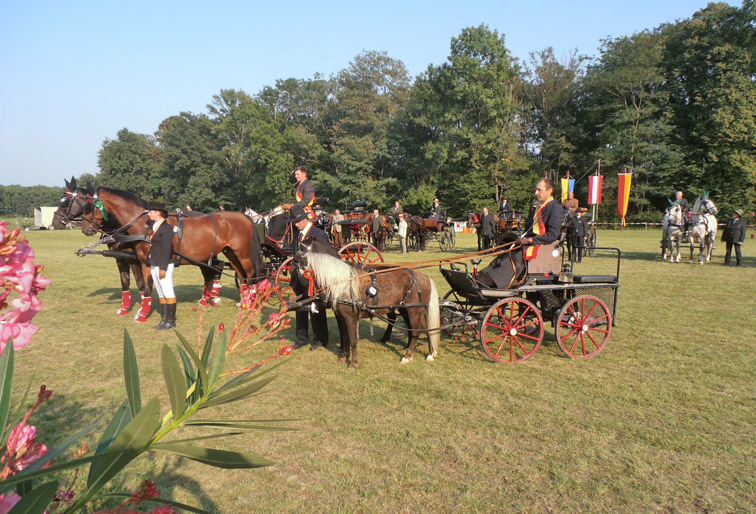 BM Bgld Laendl Fahrer 2012 8