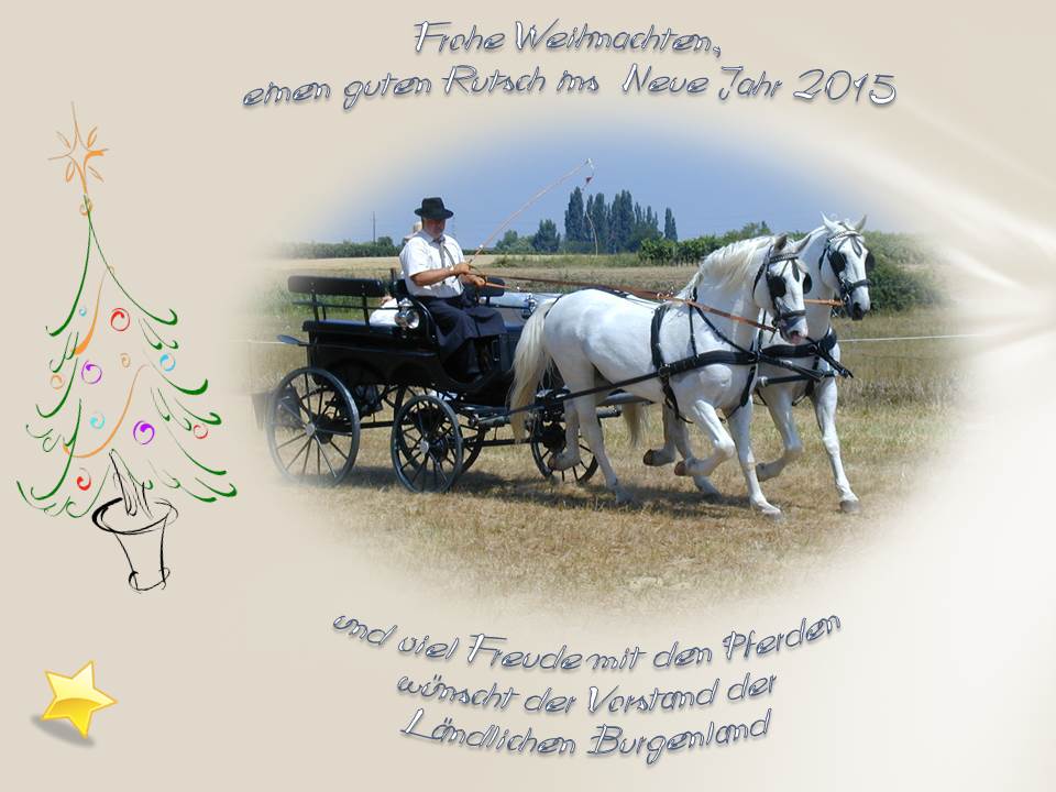 Praesentation Weihnacht 2014