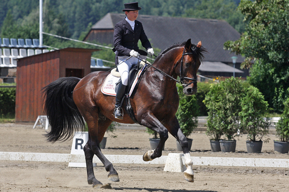 bm dressur 2011 sachendorf martina winter anton w
