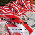 picasa bm dr 2011 sachendorf
