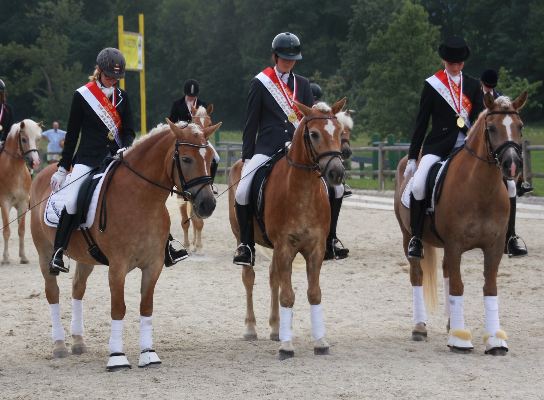 OÖ MS Dressur 2015 Manuel Lettner