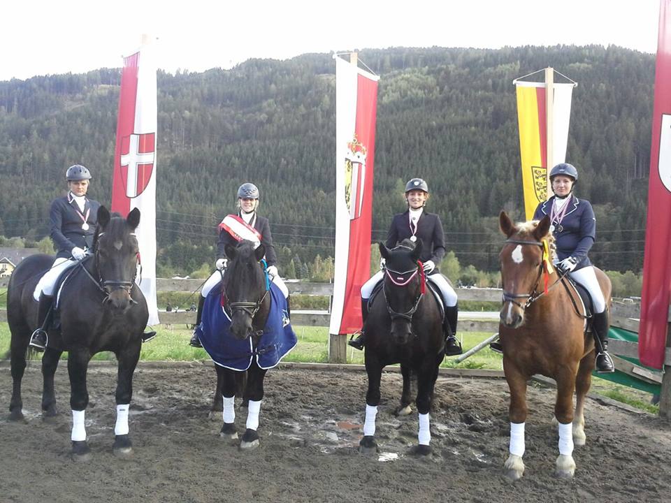 BM Mannschaft Noriker 2014