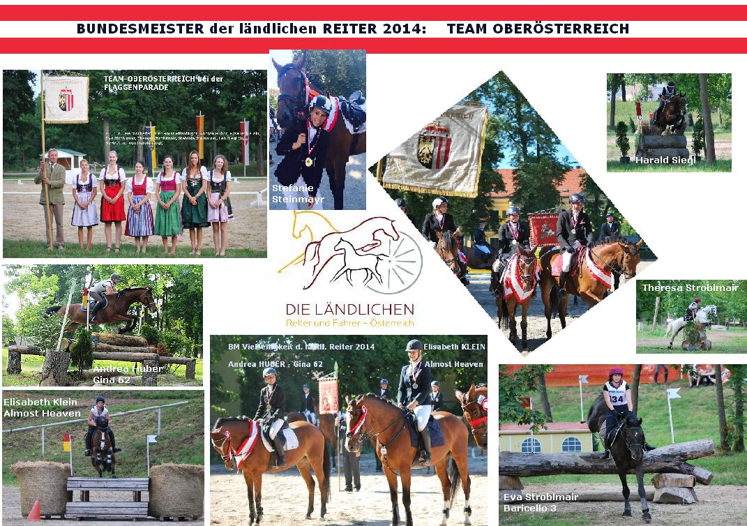 BM 2014 d. ländlichen Reiter