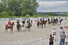 Meisterschaftsehrung 2013 Springen