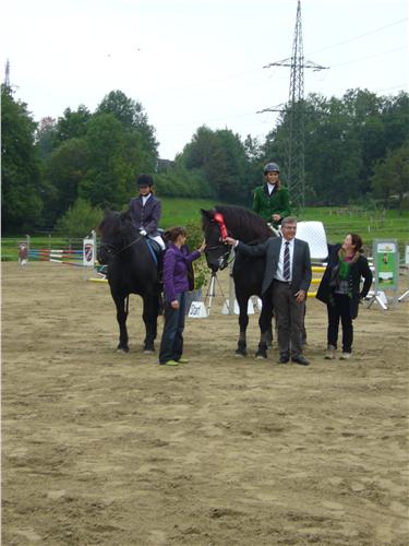 Pinzgauer-Meister 2013