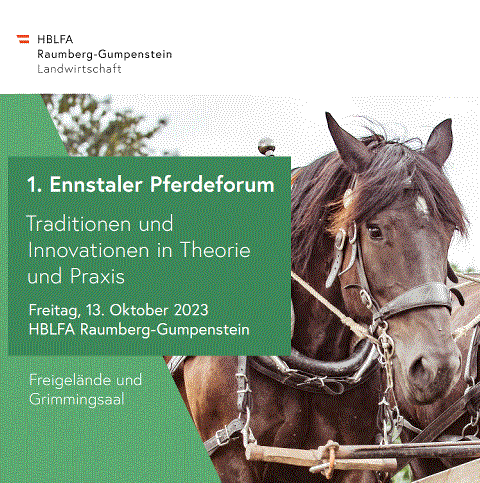 Mehr zu: 1. Ennstaler Pferdeforum