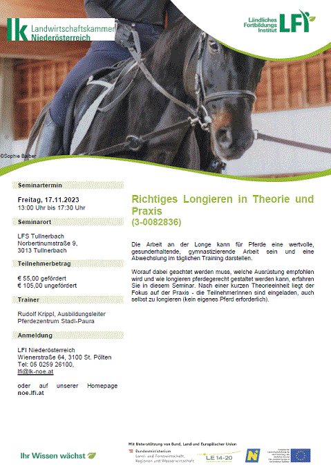 Mehr zu: Richtiges Longieren in Theorie und Praxis