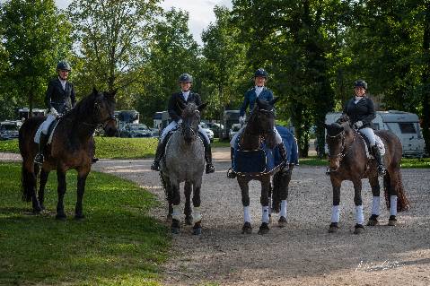 Mehr zu: Saisonabschluss der OÖ Norikerreiterinnen bei der Noriker-Trophy 2023