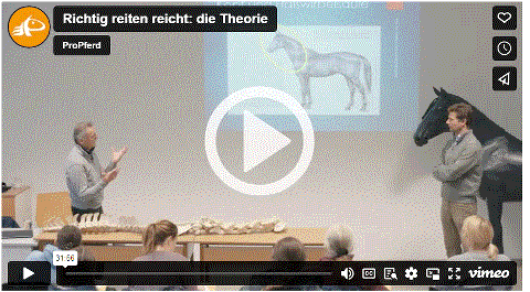 Mehr zu: "Richtig reiten reicht: Pferde gesund reiten": die Theorie