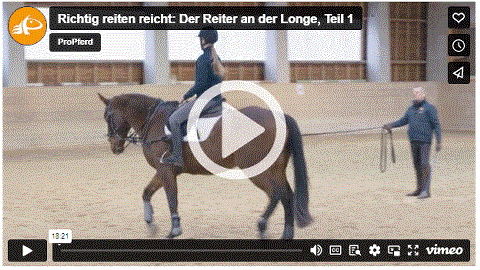 Mehr zu: Richtig reiten reicht: Der Reiter an der Longe, Teil 1
