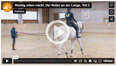Mehr zu: Richtig reiten reicht: Der Reiter an der Longe, Teil 2