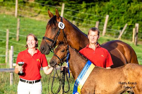 Mehr zu: Franz Habersatter ist Warmblutzüchter des Jahres 2023!