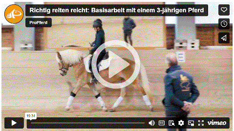 Mehr zu: Richtig reiten reicht: Basisarbeit mit einem dreijährigen Pferd