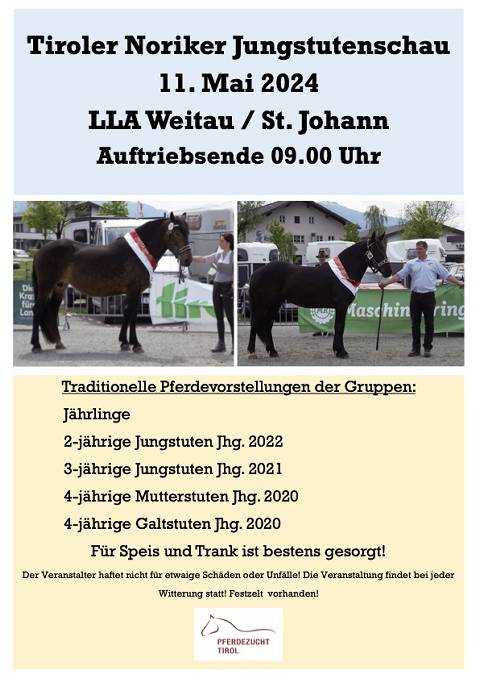 Mehr zu: Tiroler Noriker Jungstutenschau LLA Weitau/ St. Johann