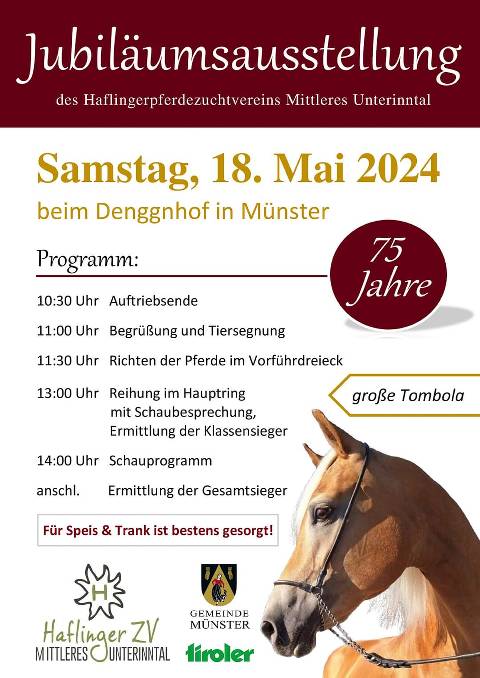 Mehr zu: Jubiläumsausstellung Haflingerpferdezuchtverein Mittleres Unterinntal