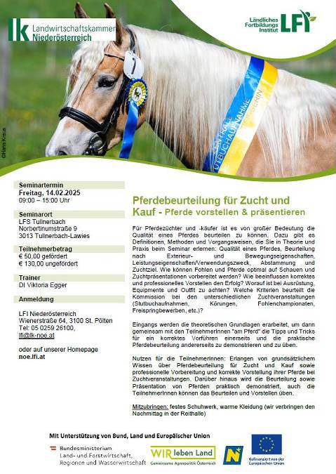 Mehr zu: Schnell Kursplatz sichern! Pferdebeurteilung für Zucht und Kauf inkl. Pferde vorstellen & präsentieren