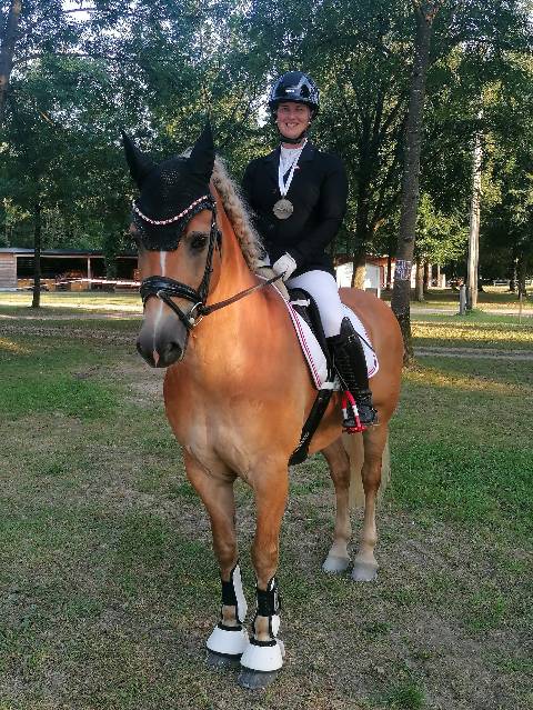 Mehr zu: BRONZE FÜR OBERÖSTERREICH BEIM HAFLINGER-EUROPA-CHAMPIONAT IN STADL PAURA