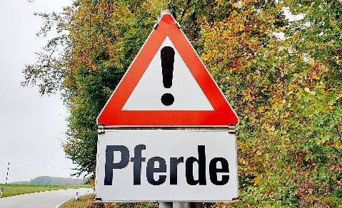 Mehr zu: Verpflichtende Aufenthaltsmeldung von Pferden im VIS: Behördliche Kontrollen ab 01.01.2025 