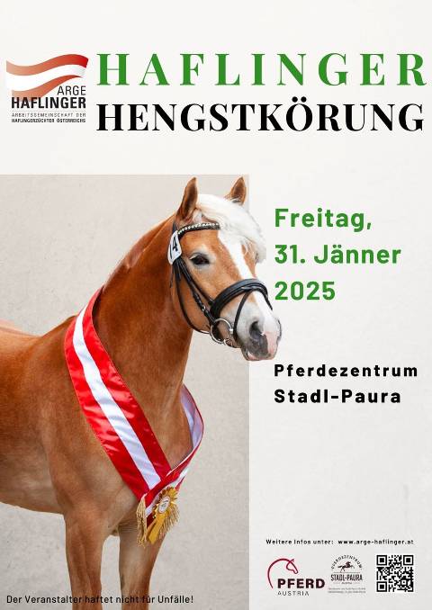 Mehr zu: ARGE Haflinger Hengstkörung