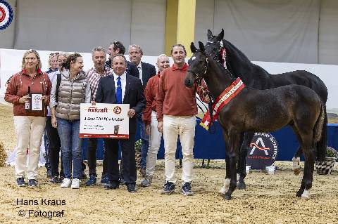 Mehr zu: Eva Fischhuber und Karl Spindelberger sind Warmblutzüchter des Jahres 2024!