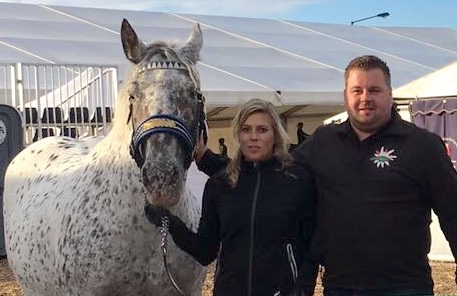 Mehr zu: Michael Böhm und Sandra Krämer sind Norikerzüchter des Jahres 2024!