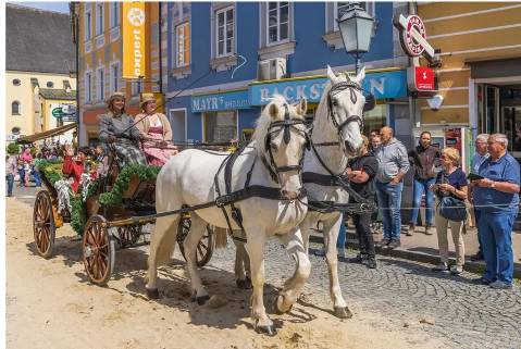 Mehr zu: Pferdemarkt Peuerbach
