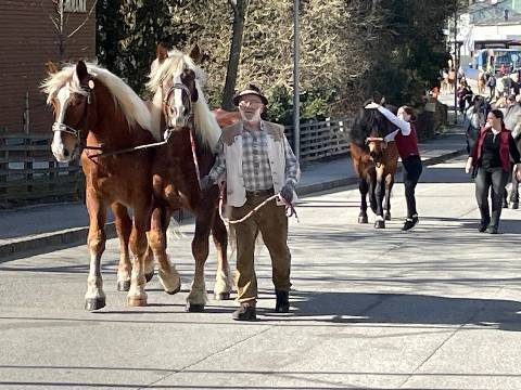 Mehr zu: 74. traditioneller Roßmarkt in Riedau