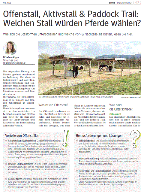Mehr zu: Offenstall, Aktivstall & Paddock Trail:<br>
Welchen Stall würden Pferde wählen?