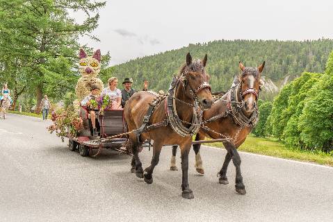 Mehr zu: Frühlingsfest der Pferde