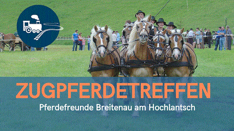 Mehr zu: Zugpferdetreffen Breitenau am Hochlantsch