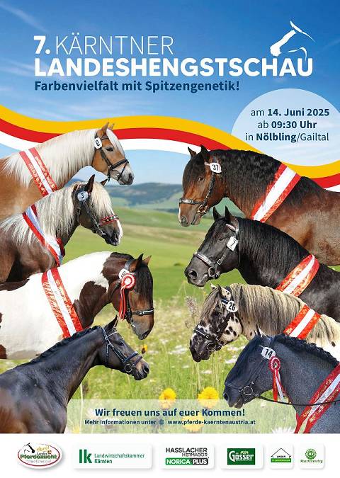Mehr zu: 7.  Kärntner Landeshengstschau 2025