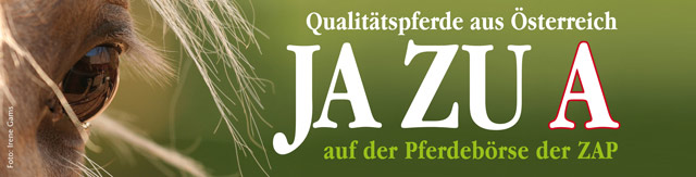 www.pferdezucht-austria.at